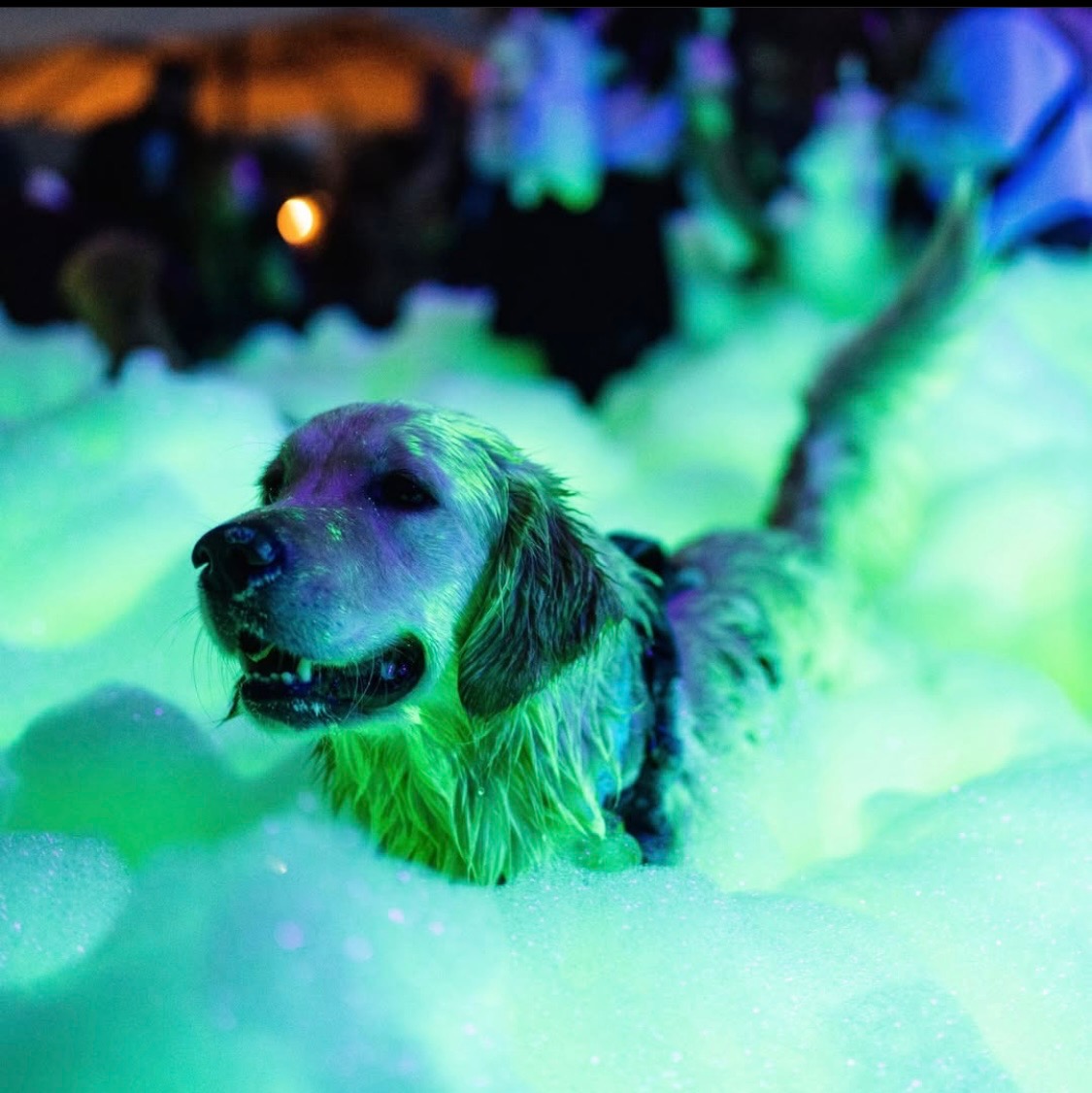 Fun for the whole family - Fun Yeah Entertainment foam party rentals Glasgow, KY